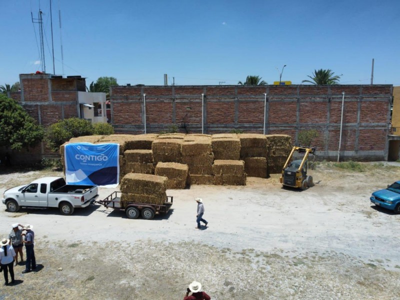 Agua y forraje para ganaderos de Cadereyta de Montes