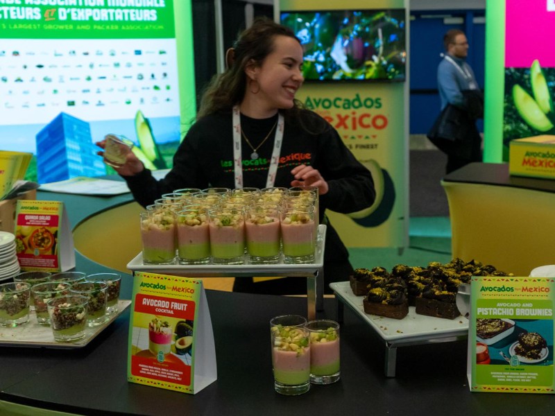 Aguacate michoacano llega a Canadá