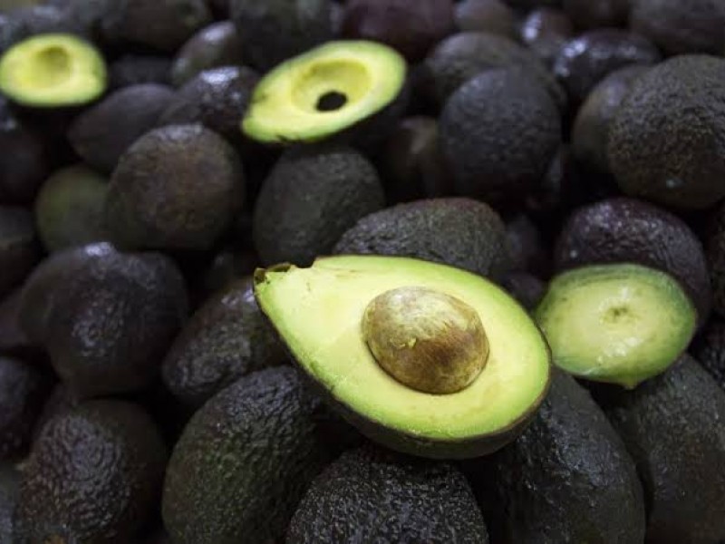 Aguacate, oro verde