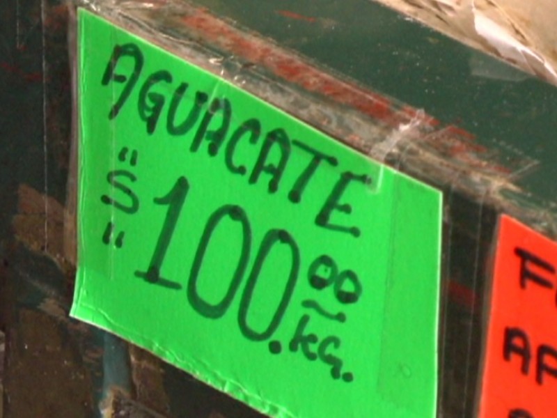 Aguacate se vende hasta en 100 el kilo