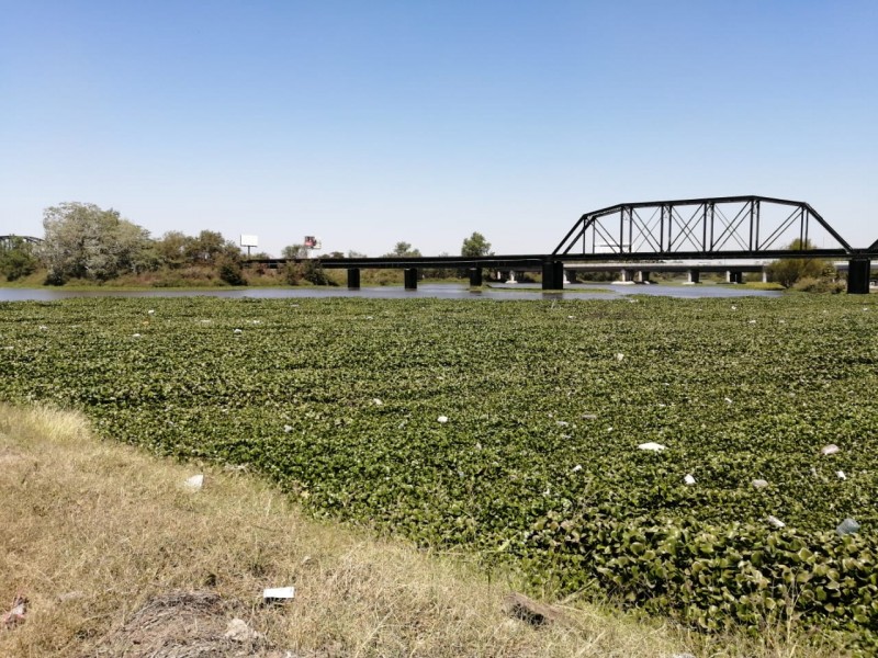 Aguas de ríos de Culiacán aptas para el consumo humano