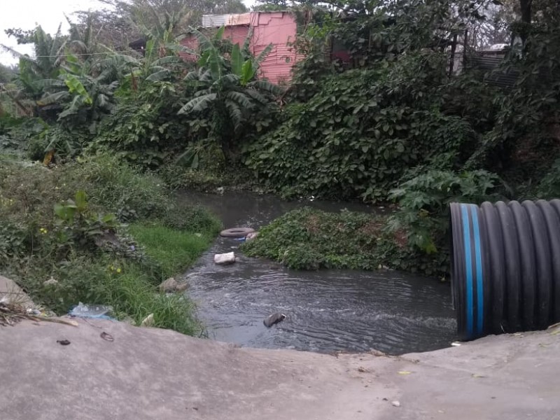 Aguas negras acaban con manantial de Tarimoya