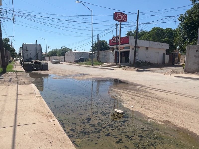 Aguas negras afectan a la colonia Revolución Mexicana en Guasave