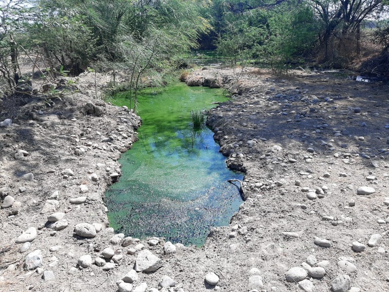 Aguas negras afectan caminos y terrenos en Flor de Azalea