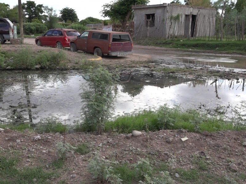 Aguas negras afectan salud y economía colonia Siglo XXI