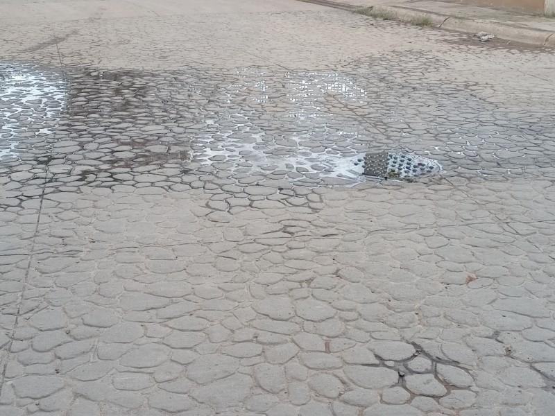 Aguas negras contaminan y agravan el abandono en El Pueblito, Durango