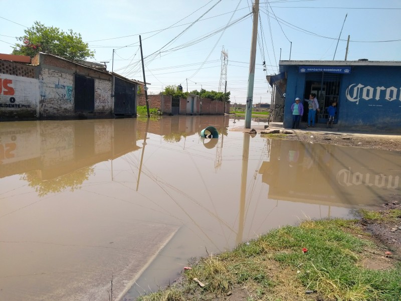 Aguas negras generan foco de infección