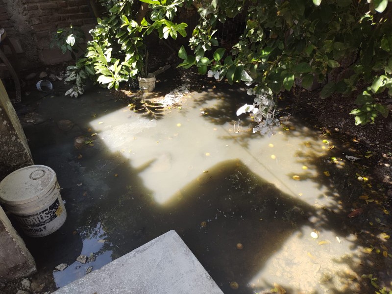¡Aguas negras inundan las casas! Vecinos en López Mateos claman intervención