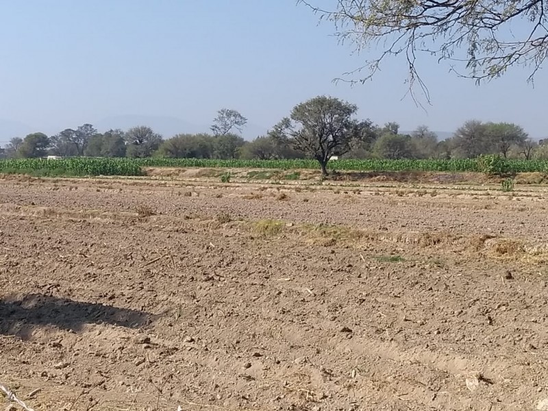 Aguas negras son utilizadas para riego de hortalizas