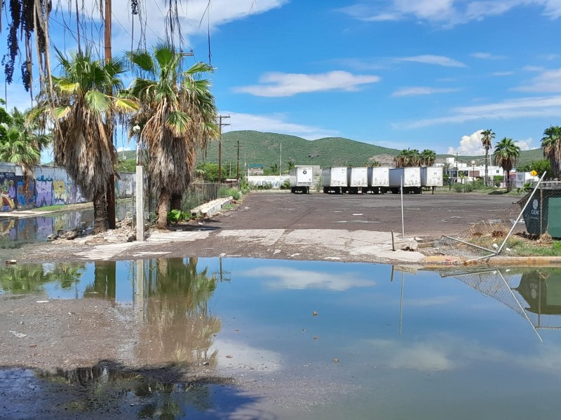 Aguas negras, una constante en Topolobampo