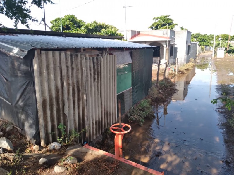 Aguas pluviales afectan a habitantes de colonia popular de Juchitán