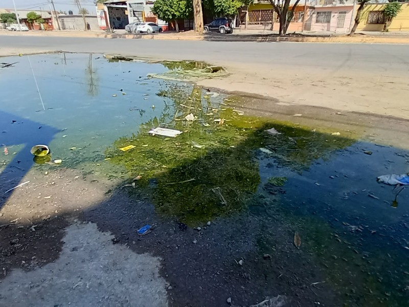 Aguas verdes provocan olores insoportables y foco de infección