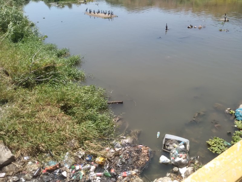 Aguda contaminación del rio Los Perros