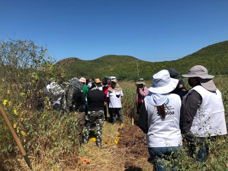 Ahome registra más de 74 desapariciones forzadas en este año