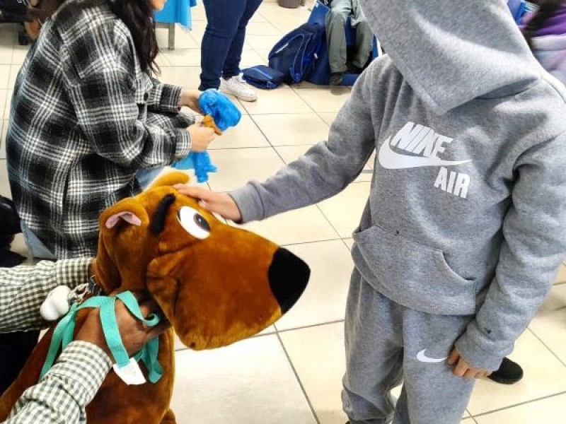 Ahora en las escuelas también enseñan cuidado de las mascotas