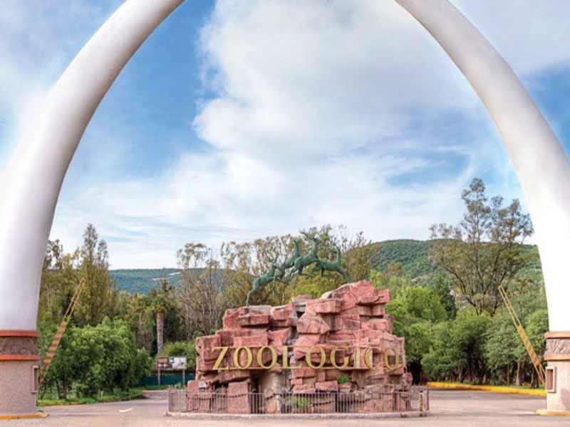 Ahora presentan denuncias por acoso sexual contra personal del Zoo