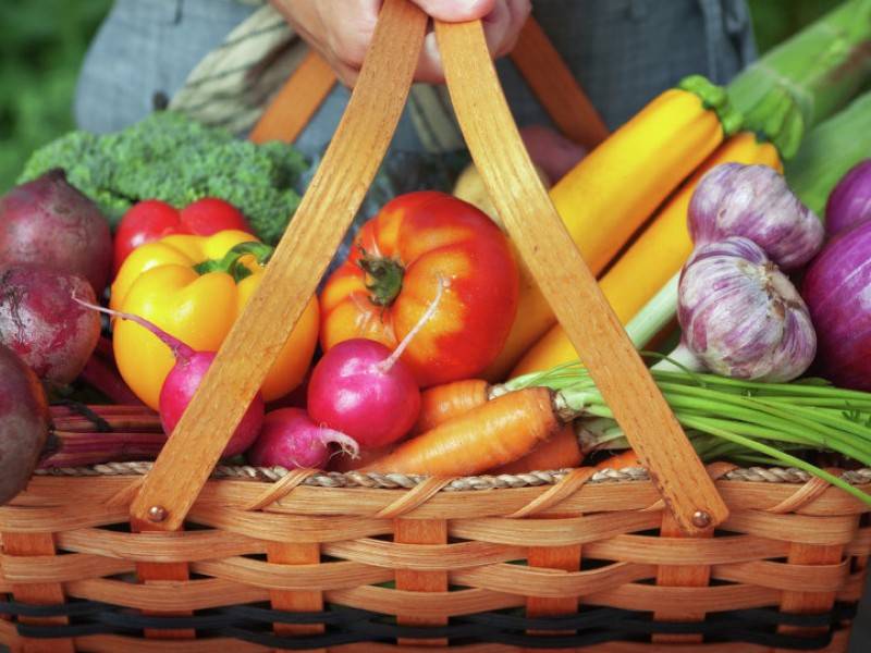 Al alza cultivo de productos orgánicos en Colima