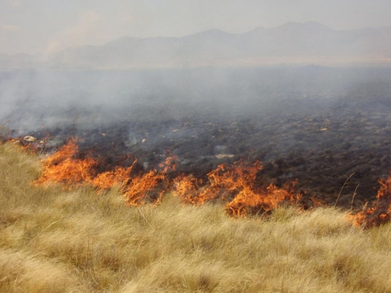 Al alza incendios de pastizales