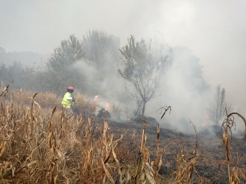 Al menos 10 viviendas siniestradas en incendio forestal en Zimatlán