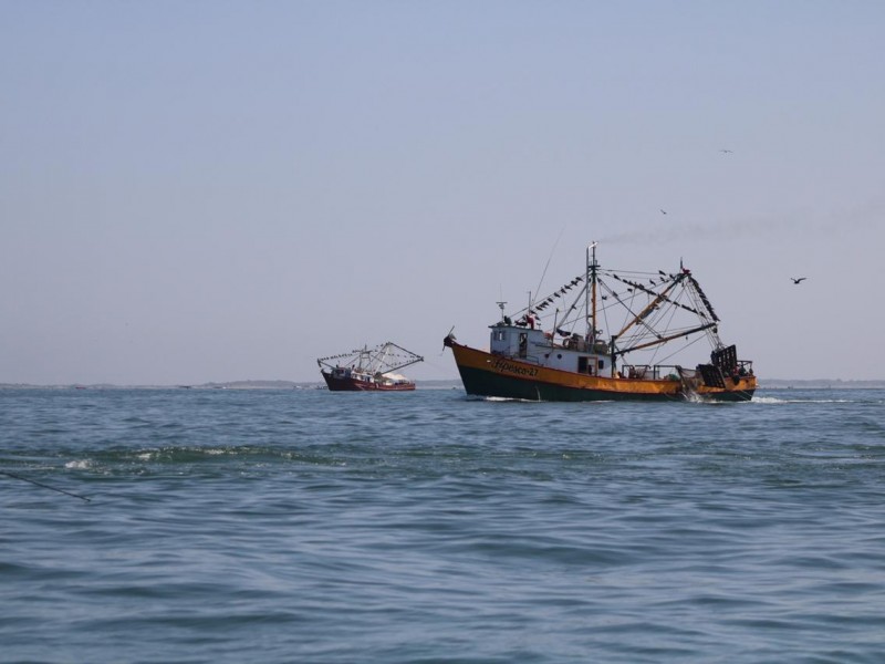 Al menos 200 camaroneros no inician capturas en alta mar