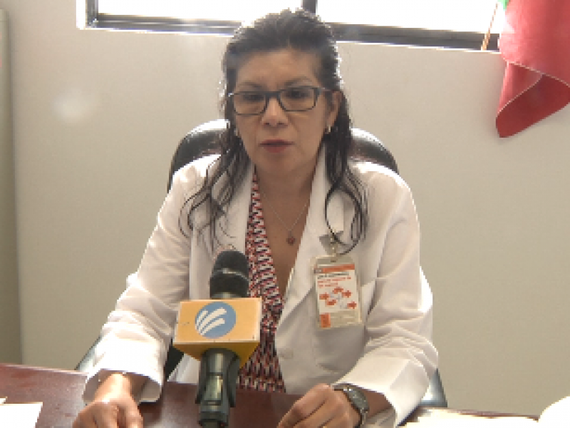 Alacranes y dengue en verano