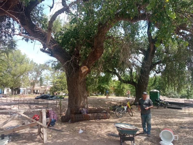 Alamedas están en riesgo por obras irregulares en Los Mochis