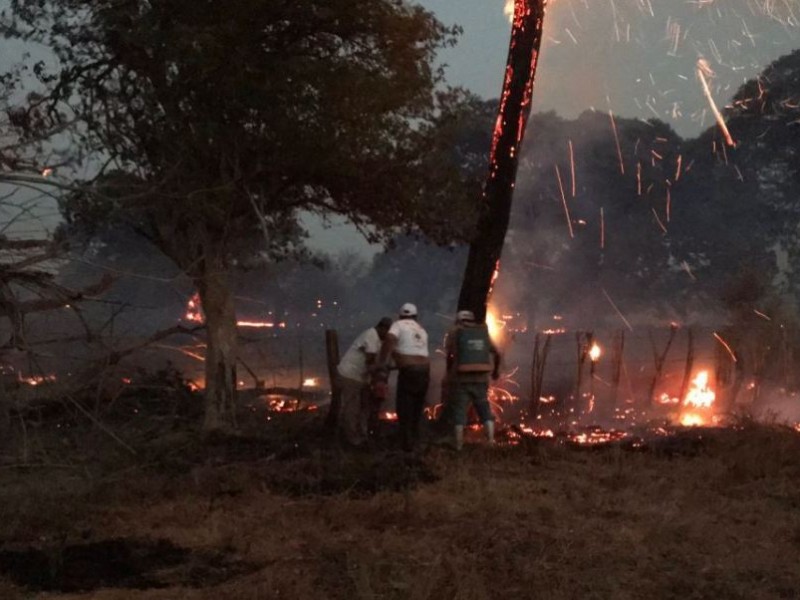 Alarmante incidencia de incendios forestales en Chiapas