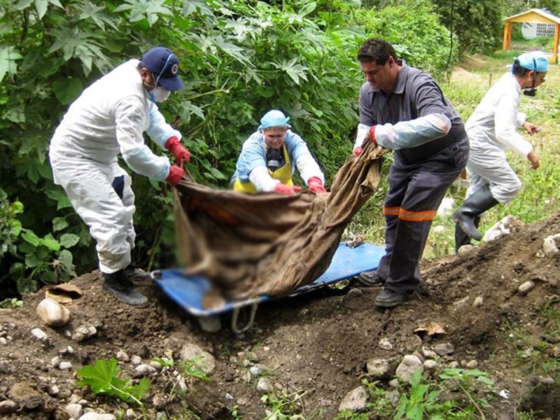 Alarmante: Ubican 222 fosas clandestinas en el país