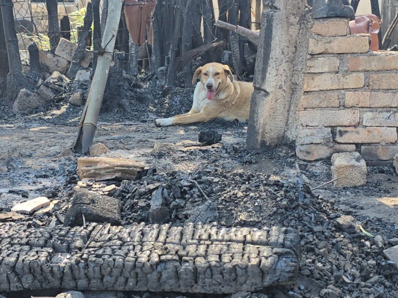 Cómo quedó el refugio incendiado 