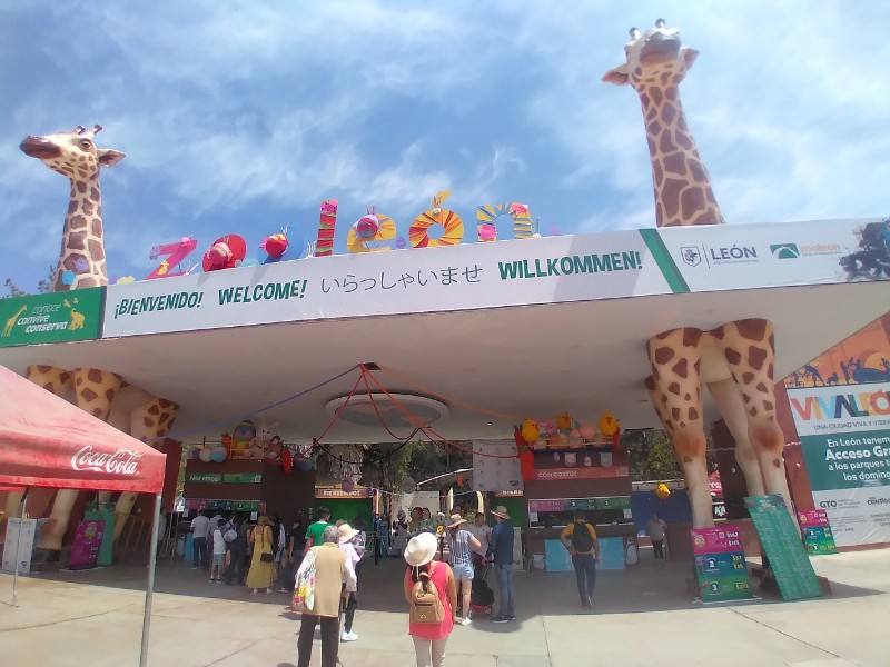 Alcaldesa presentará terna de candidatos para dirigir el zoológico