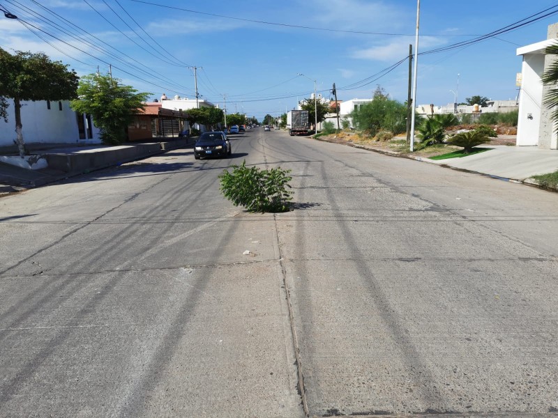 Urgen atención a alcantarilla destapada en Campestre Residencial