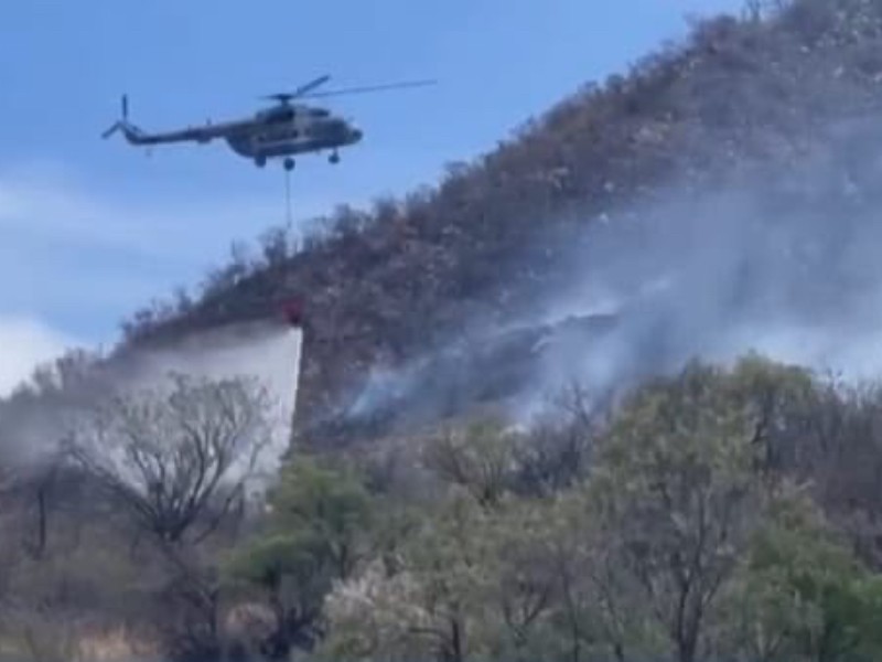 Alcanzan 70 por ciento de control en incendio forestal de Arivechi ...