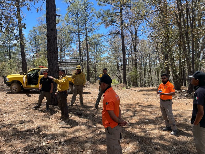Alcanzan 80% de control en incendio forestal de Nácori Chico