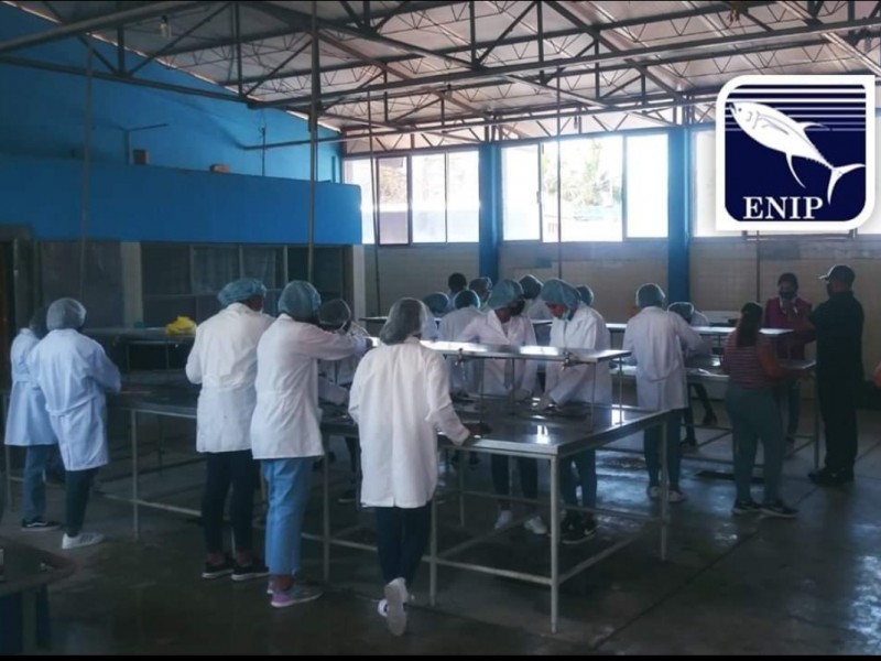 Alcohol, fiestas y drogas en Escuela de Ingeniería Pesquera: FGE