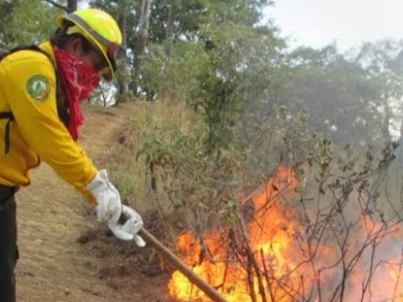 Alerta amarilla en Chiapas por incendios forestales