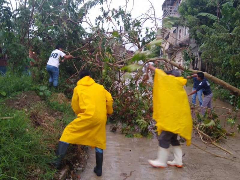 Alerta amarilla por lluvias en 7 regiones