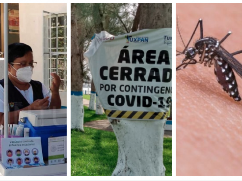 Alerta ante Influenza, Covid19 y Dengue