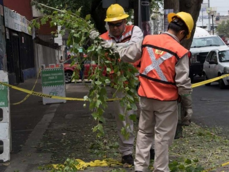 Alerta CFE para atender posibles afectaciones por Agatha