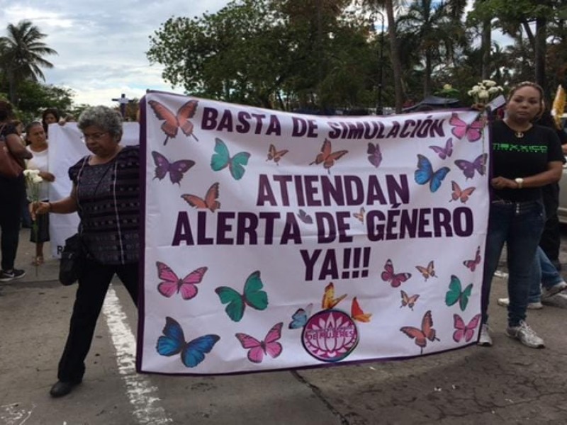 Alerta de género, tardía y sin acciones: Red Feminista