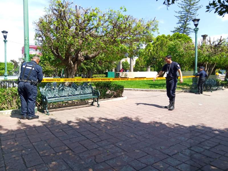 ¡Alerta en Tepic!, aumentan reportes de enjambres
