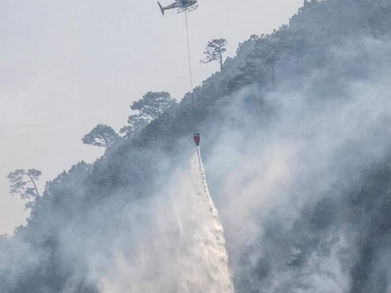 Alerta entidad veracruzana, ante incendios