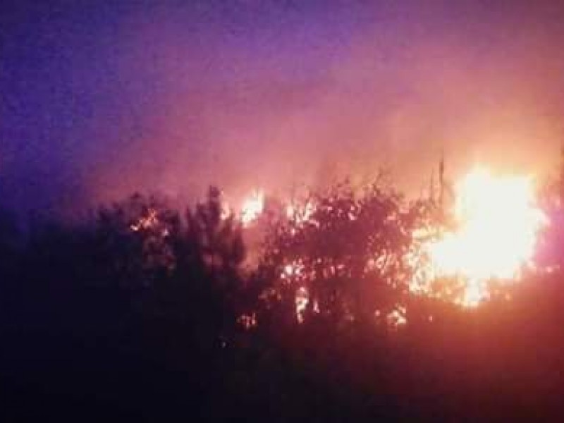 Alerta incendio forestal en San Bernardino Lagunas