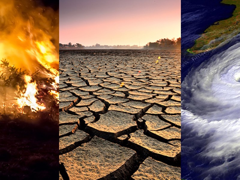 Alerta mundial; ¡Cambio climático, última llamada!