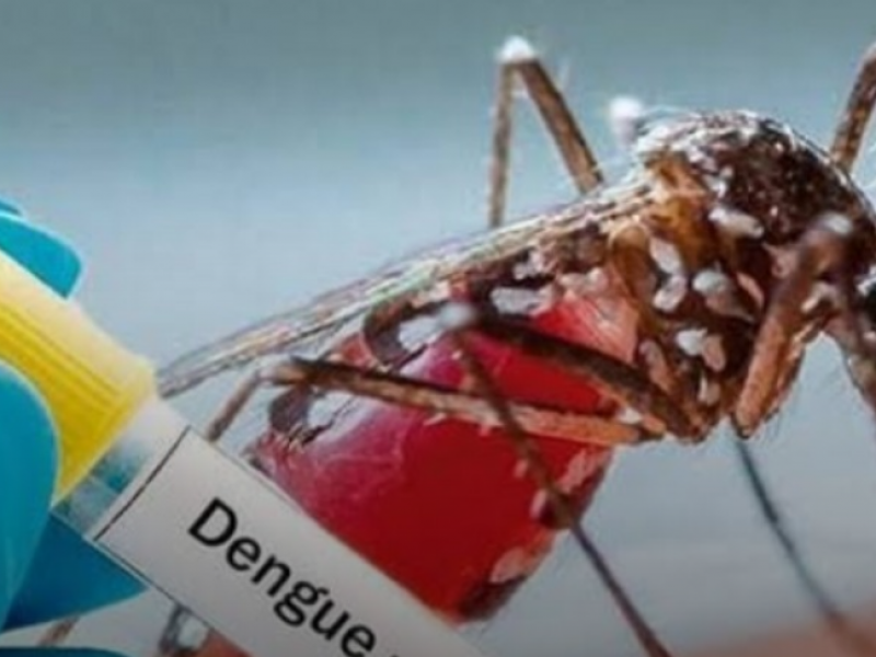 Alerta OPS sobre dengue; incluye a Zacatecas: Salud