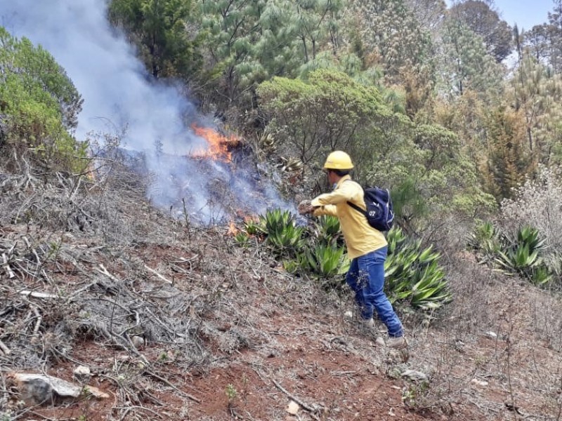 Alerta PC por riesgo de incendios