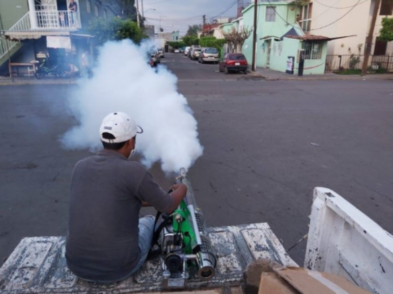 Alerta por aumento de casos de dengue en la región