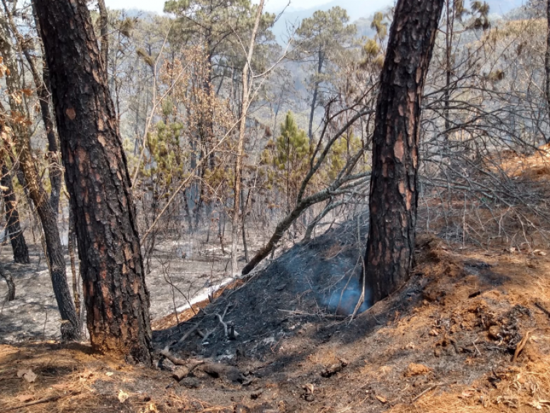 Alerta por aumentos de incendios forestales en la región