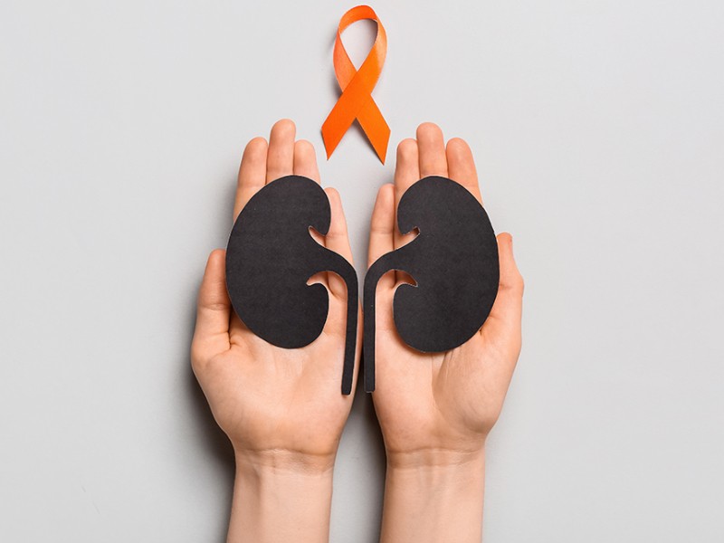 Alerta por cáncer de riñón: prevenir puede salvar tu vida