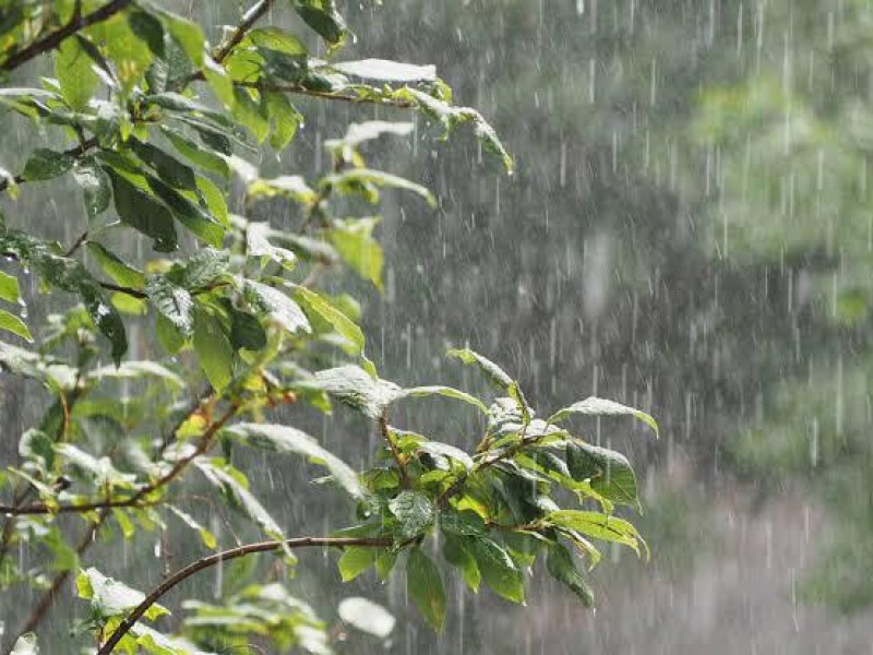 Alerta Por Lluvias Intensas en Varias Regiones del Estado..