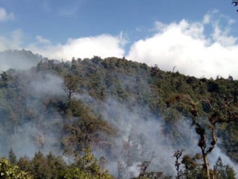 Alerta roja por incendios en regiones de Chiapas